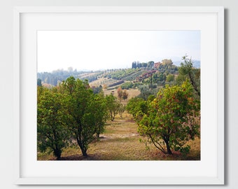 Tuscany Photography, Tuscan Landscape, Italy Print, Travel Photography, Tuscan Wall Decor, Italian Wall Art Italian Countryside European Art