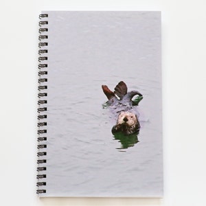 Sea Otter Notebook, Spiral Notebook, Lined Notebook, Sea Otter Gifts, Sea Otter notebook Nature gift Otter Gift California Gift Blank Paper