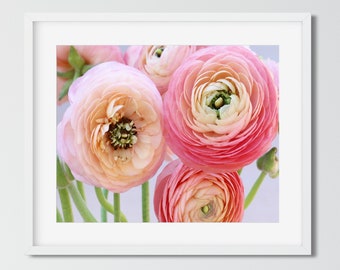 Pink Flower Art Print, Ranunculus art print, Photography Print, Floral Living Room, Botanical Art, Art Print for Bedroom, Flower Photograph