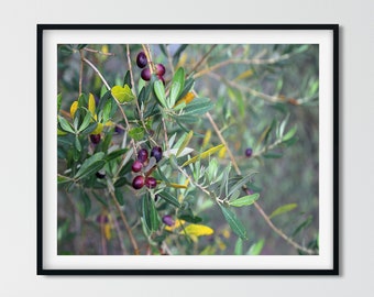 Olive Photography Print, Kitchen Wall Art,  Nature Photography, Rustic Kitchen,  Dining Room Art, Farmhouse Kitchen Decor, Botanical Print