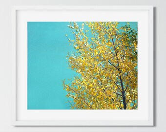 Tree Photography, Aqua Wall Art, Nature Photography Prints, Tree Art, Tree Landscape, Aqua Print, Nature Photography, Living Room Wall Art