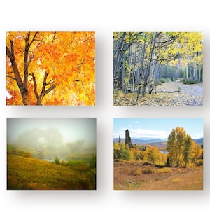 Autumn Landscapes Notecards, Fall Trees Note Cards, Greeting Cards, Notecard Set with Envelopes,  Set of 8 Blank Cards with Envelopes