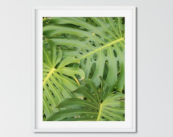 Botanical Photography Prints, Hawaii Wall Art, Tropical Leaves Print, Kauai Print, Living Room Wall Art, Vertical Photography 16x20 Print