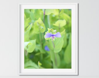 Purple Wildflower Photography, Still Life Botanical Print, Purple Flower Print, Bedroom Decor, Photography Print, Living Room Decor