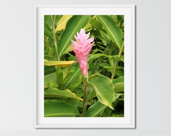Botanical Photography Prints, Hawaii Wall Art, Ginger Print, Kauai Print, Living Room Wall Art, Vertical Photography 16x20 Print