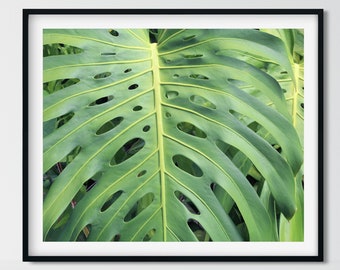 Green Wall Art, Bedroom Decor, Nature Photography Print, Living Room Wall Art, Botanical Wall Art Print, Plant Photo Wall