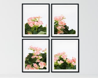 Pink  Flower Photography, Flower Still Life Photo Set, Botanical prints Set of 4, Floral Photos, 8x10 Photography Set Girls Nursery Wall Art