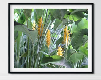 Sage Green Wall Art, Bedroom Decor, Nature Photography Print, Living Room Wall Art, Botanical Wall Art Print, Plant Photo Wall