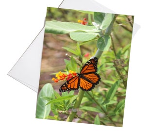 Monarch Butterfly Stationary, Notecard Set with Envelopes, Set of 8 Notecards, Blank Cards, Blank All Occasion , Butterfly Gift, Nature