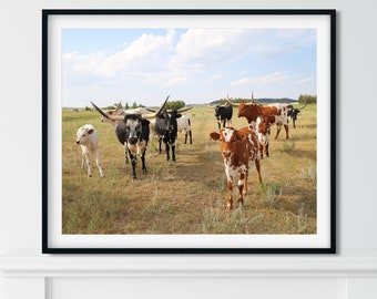 Cow Photo Print, Black and White Cow Print, Rustic Farmhouse Decor, Modern Farmhouse Style Decor, Rustic Home Decor,  Farm Animal