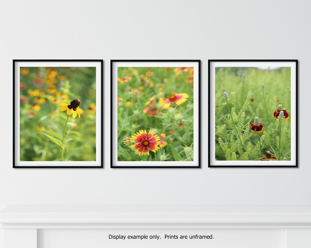 Texas Wildflowers Wall Art Set, Wildflower Botanical Prints, Set of 3 ...