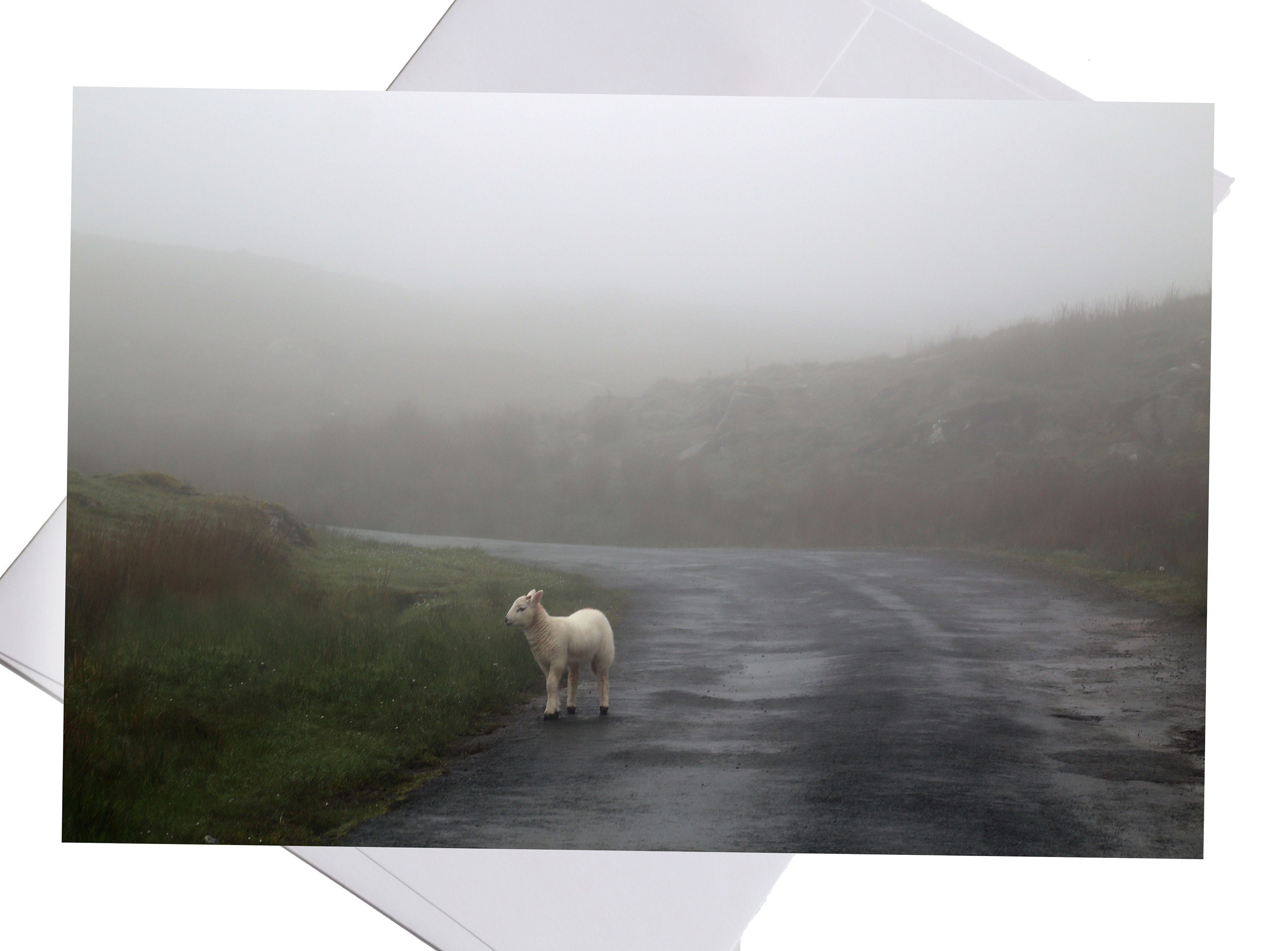 Ireland Sheep Stationery, Sheep Gifts, Blank Note Cards, Folded Stationery, Stationary Set, Notecards with Envelopes, Ireland Gifts