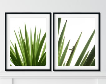 Grasshopper Print, Insect Art Print, Bug Art, Nature Wall Art, Set of 2 Prints, Green Photography Prints,  Minimalist Wall Art Print