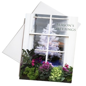 Window Christmas Cards, Shop Note Cards, Folded Blank Holiday Cards, Christmas Cards Set, Blank Greeting Cards, Set of 8 Notecards