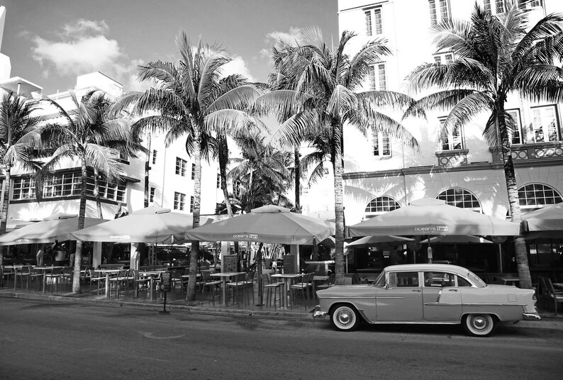 May include: A black and white photograph of a vintage car parked in front of a building with palm trees. The car is a classic American saloon with a chrome bumper and whitewall tyres. The building is a two-storey structure with a tiled roof and large windows. The palm trees are tall and slender, with lush green fronds.