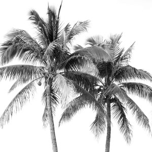 Image showcasing Harper & Willow Rattan Handmade Tall Woven Leaf Stick Palm Tree Home ...