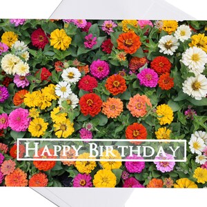 Botanical Floral Flower Notecards, Birthday Card for Her, 8 Card Gift Set, Blank Greeting Card, Thank you, for Mom, for Friend