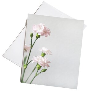 Pink Carnation Flower Cards,  Happy Birthday Cards,  January Birth Flower Gift, Blank Greeting Card, Personalize Cards, Set of 8 Note Cards