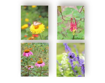 Pretty Garden Notecards, Greeting Cards, Notecard Set with Envelopes,  Set of 8 Wildflower Blank Cards with Envelopes, All Occasion Cards