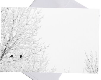 Winter Birds Christmas Cards, Holiday Cards,  Christmas Cards Set, Blank Greeting Card, Winter Holiday Card, Christmas Card Pack, Set of 8