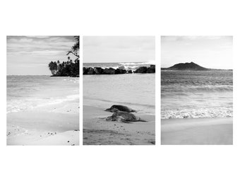 Hawaii Set of 3 Prints, Black and White Beach Pictures Beach Print Hawaiian Wall Art Palm Tree Photo Print Waterfall Decor Tropical Wall Art