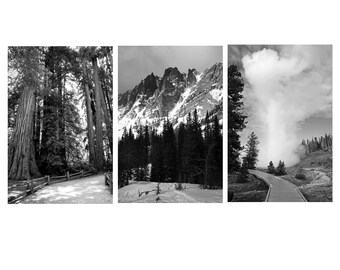 National Park Print, Black and White Nature prints, Set of Three Prints Vertical Prints 5x7 Prints Black and White Photography National Park