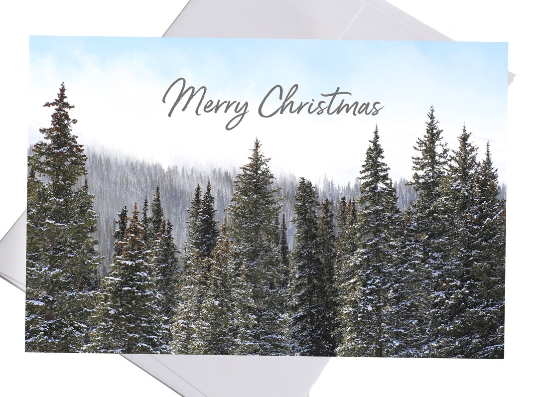 Christmas Pine Trees Cards, Holiday Cards, Christmas Cards Set, Blank ...
