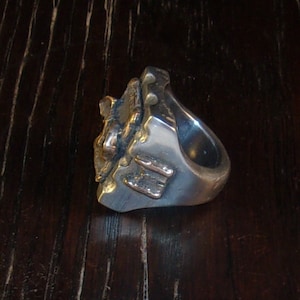 Puede incluir: Un anillo plateado con un dise&ntilde;o abstracto. El anillo presenta una superficie texturizada con detalles en color bronce. La banda es lisa y pulida, creando un contraste con la parte superior detallada.