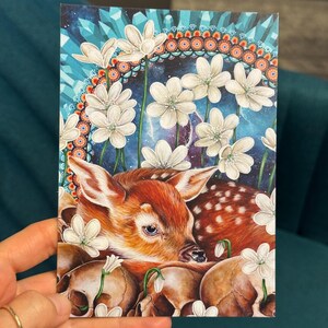 carte postale faon