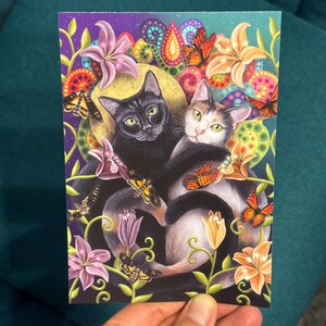 carte postale "chats"