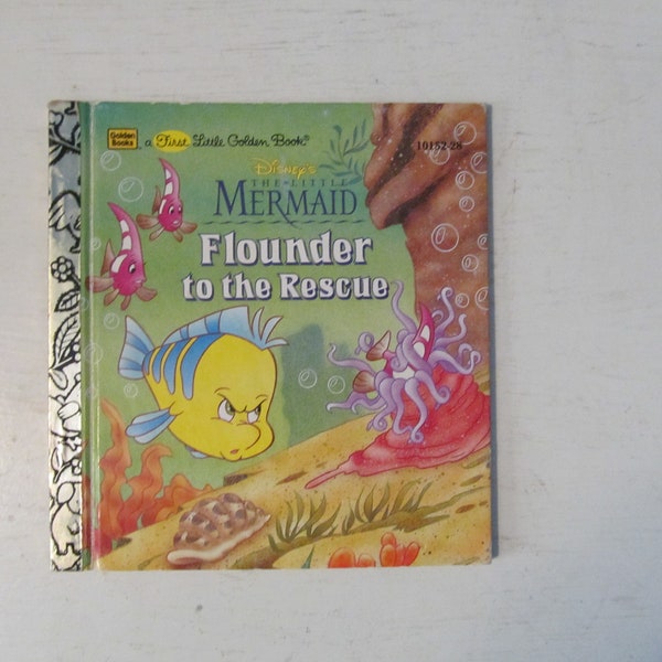 Flounder Book Etsy