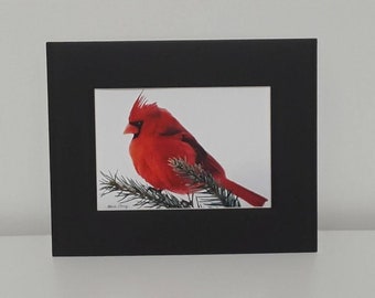 Impresión de arte cardenal rojo dentro de la alfombra negra