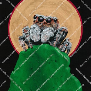 Spiders are Friends