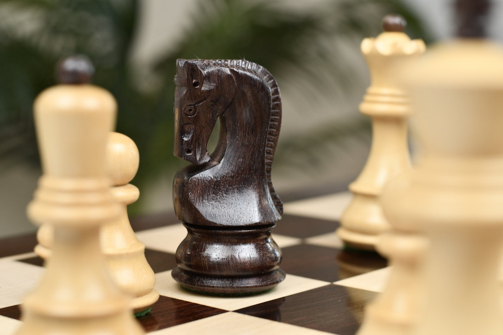 Xadrez Grande Madeira Maciça Rosewood Boxwood Peças de xadrez jogo de  xadrez de tabuleiro de xadrez xadrez