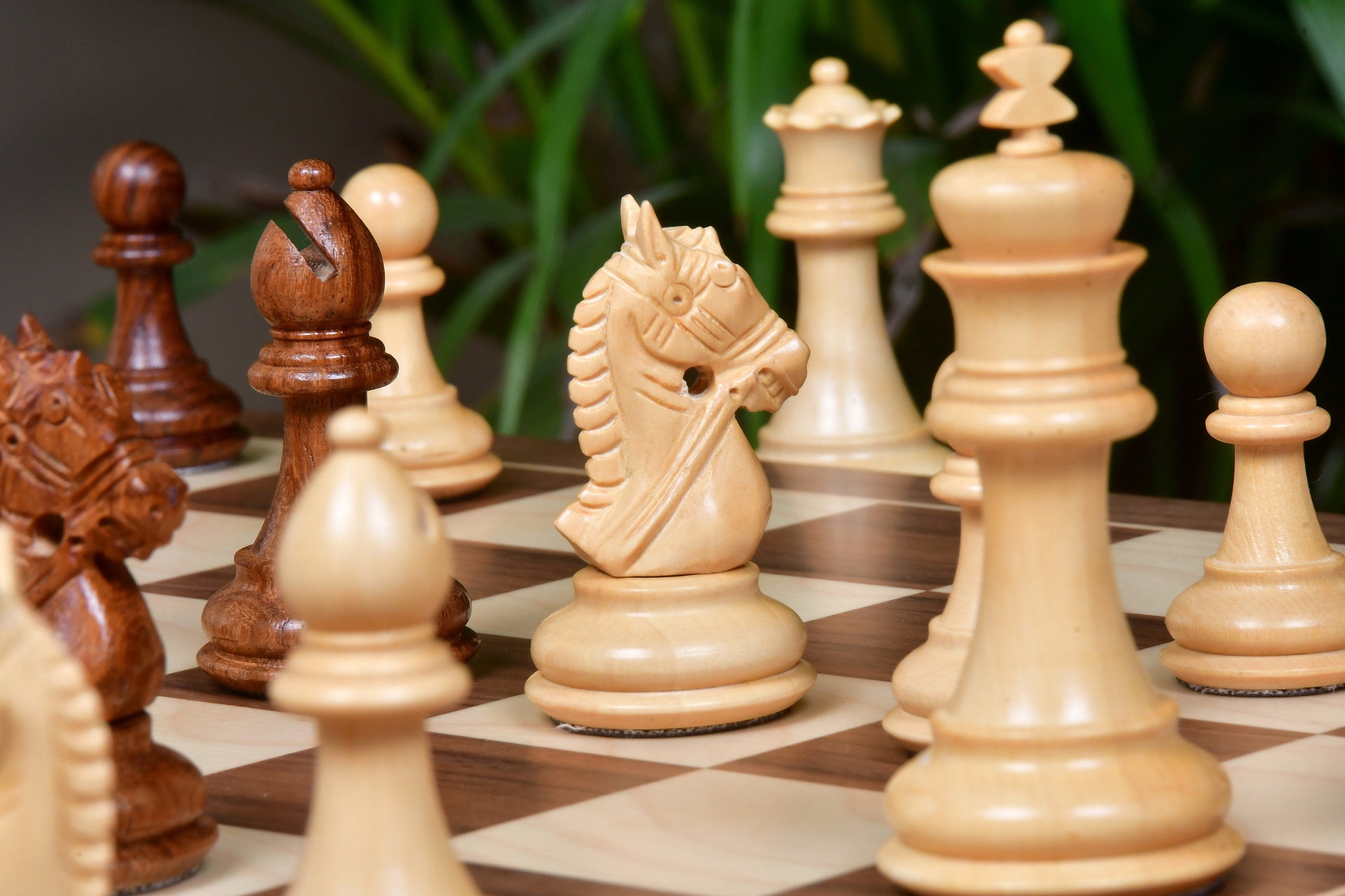 Combo of The Bridle Study Analysis Chess Pieces in Sheesham and Boxwood  with Walnut Maple Wooden Chess Board - 3.2 King