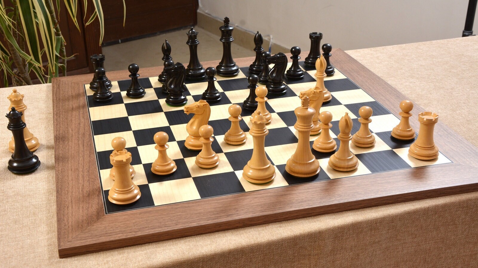 Combo of The Bridle Study Analysis Chess Pieces in Sheesham and Boxwood  with Walnut Maple Wooden Chess Board - 3.2 King