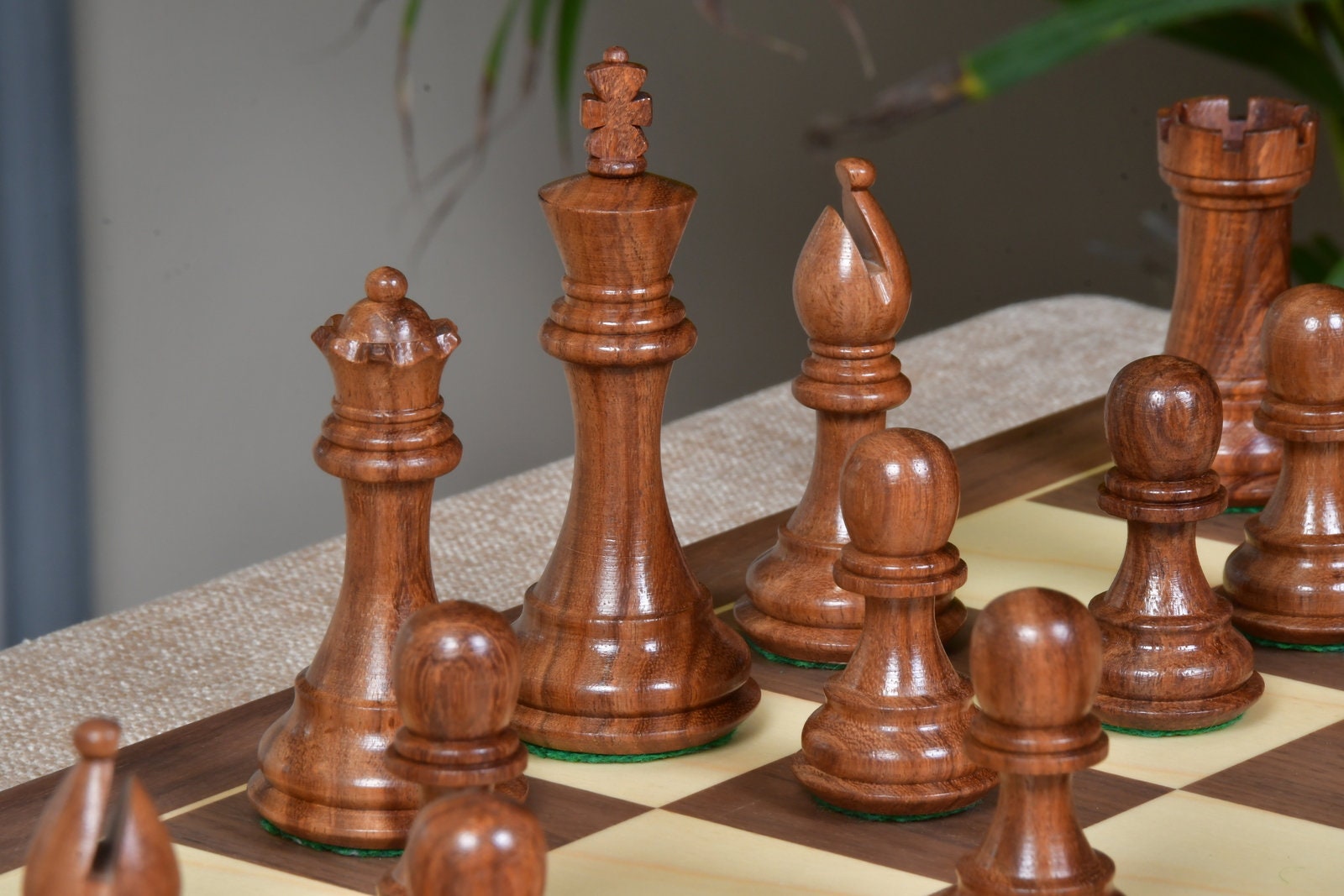 Combo of The Bridle Study Analysis Chess Pieces in Sheesham and Boxwood  with Walnut Maple Wooden