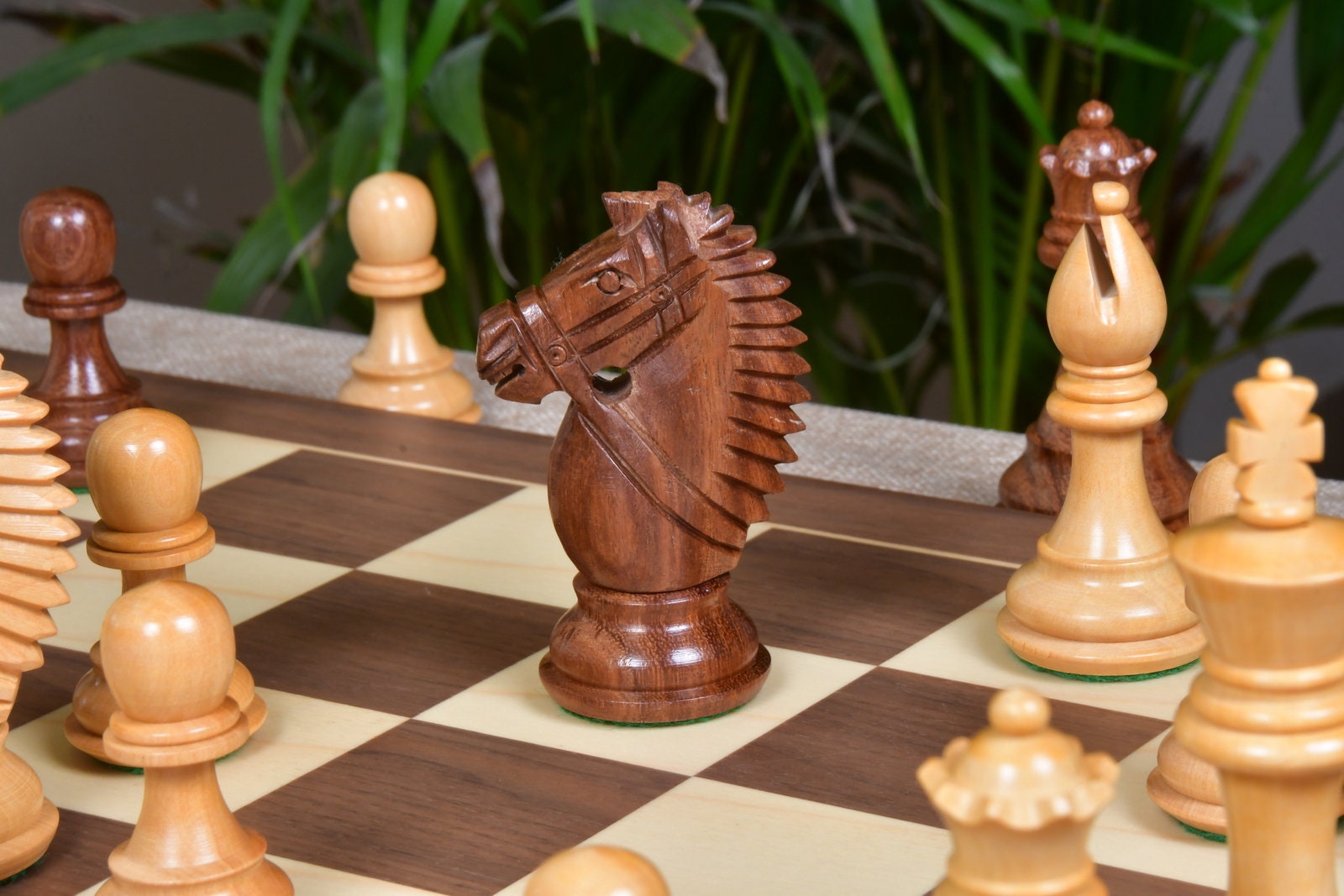 Combo of The Bridle Study Analysis Chess Pieces in Sheesham and Boxwood  with Walnut Maple Wooden Chess Board - 3.2 King