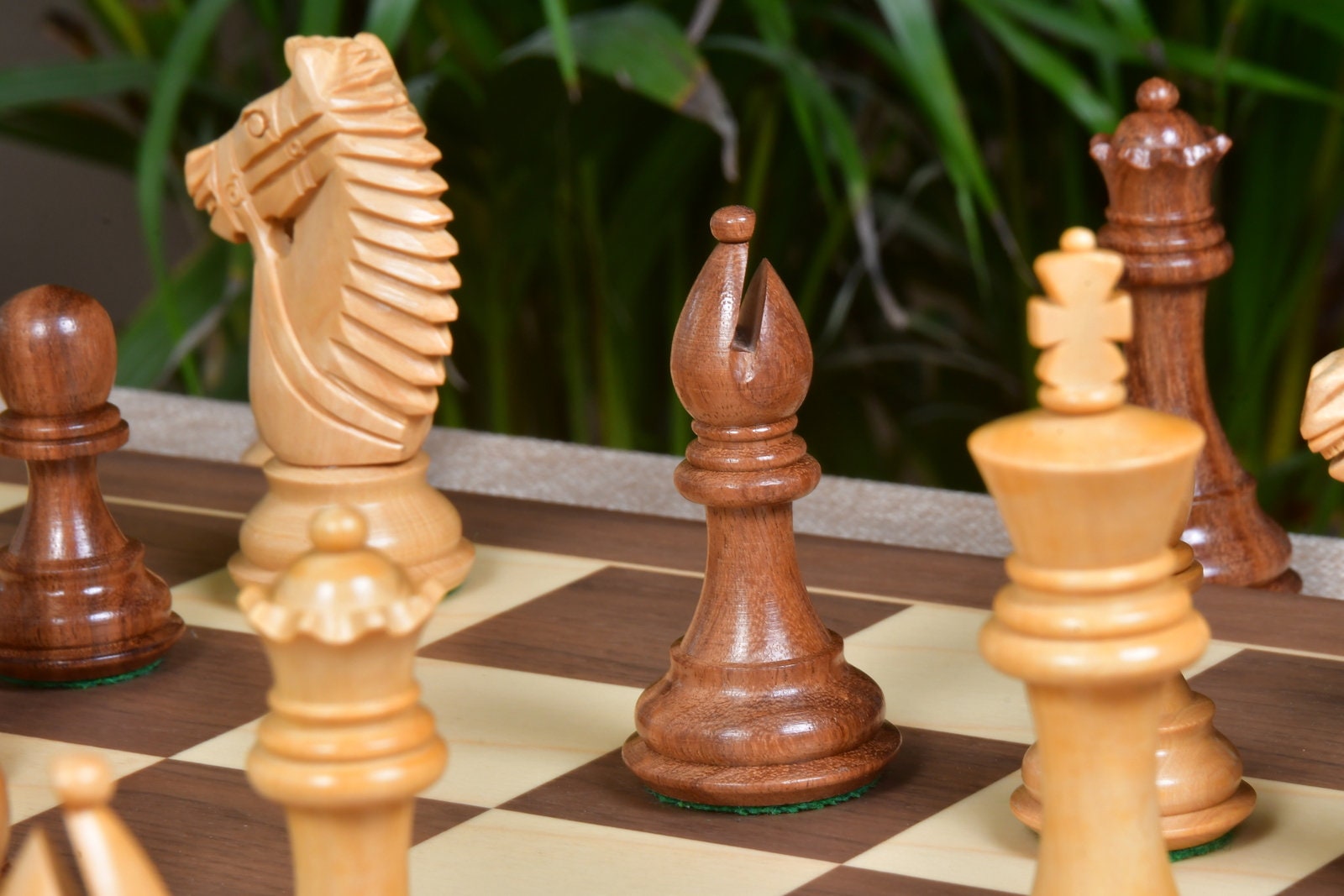 Combo of The Bridle Study Analysis Chess Pieces in Sheesham and Boxwood  with Walnut Maple Wooden Chess Board - 3.2 King