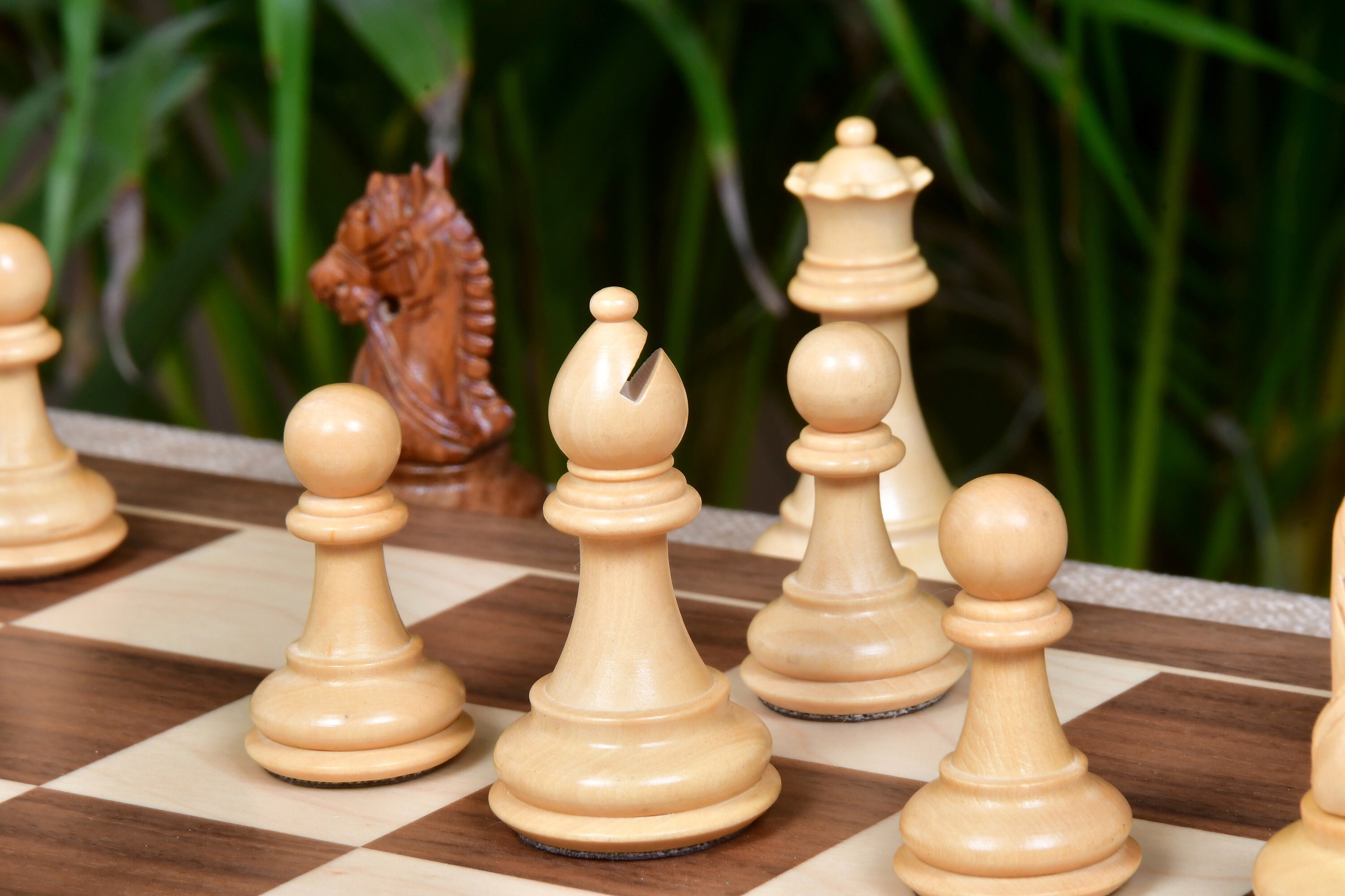 Combo of The Bridle Study Analysis Chess Pieces in Sheesham and Boxwood  with Walnut Maple Wooden