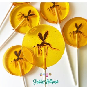 Mosquito in amber party favors, Mosquito Fossil Lollipops, dinosaur birthday party favors, SET OF 6.