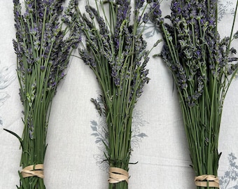 Lavendel