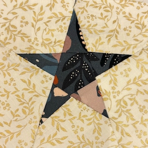 Può includere: Primo piano di un blocco di trapuntatura a stella in tessuto. La stella è ritagliata da un tessuto floreale scuro e posta su uno sfondo color crema con motivi a foglie d'oro. Le punte della stella sono cucite con precisione.