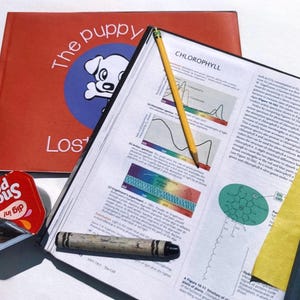 May include: A flat lay of school supplies, including a red book with the title "The Puppy Lost", a yellow book with the title "CHLOROPHYLL", a yellow pencil, a green crayon, a blue crayon, a yellow sheet of paper, a blue crayon, and a red and white snack pack.