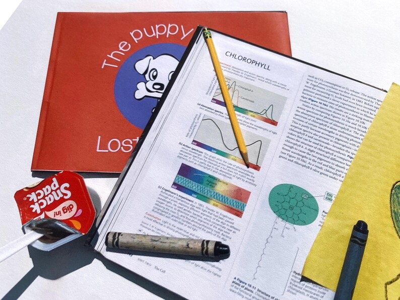 May include: A flat lay of school supplies, including a red book with the title "The Puppy Lost", a yellow book with the title "CHLOROPHYLL", a yellow pencil, a green crayon, a blue crayon, a yellow sheet of paper, a blue crayon, and a red and white snack pack.