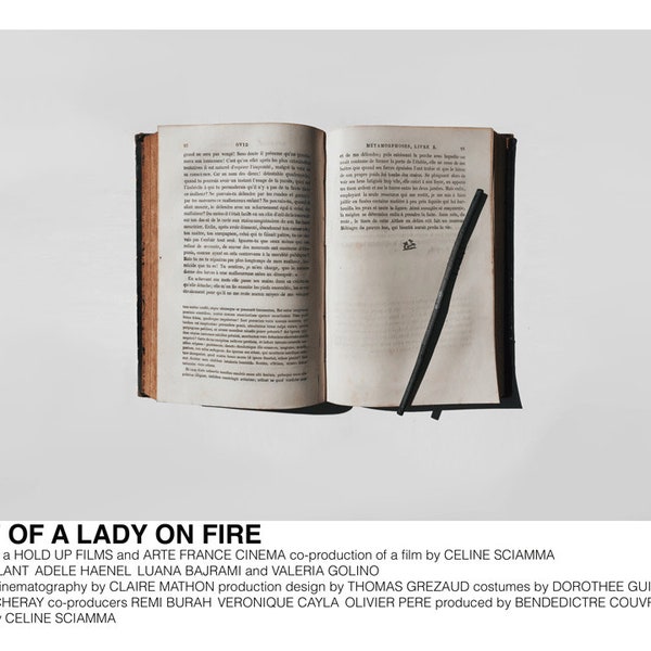 Portrait of a Lady on Fire poster (Celine Sciamma, 2019) [alternative movie poster; minimalist movie poster]