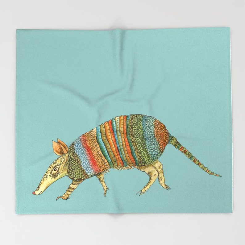 May include: A colorful illustration of an armadillo with a blue, green, orange, and yellow shell on a light blue background.