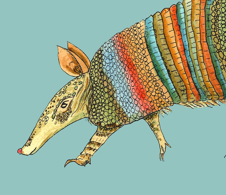 May include: A colorful illustration of an armadillo with a rainbow patterned shell. The armadillo is drawn in a cartoon style with a long snout and small eyes.