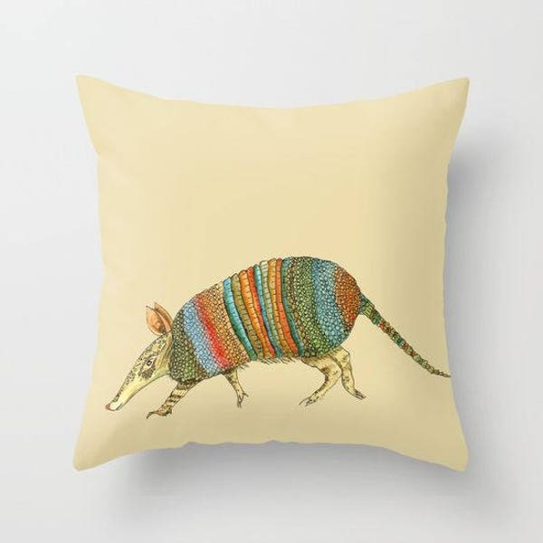 Armadillow Pillow, Throw Pillow, desert tones, terra cotta turquoise,  olive, modern,  Southwestern decor, cushions