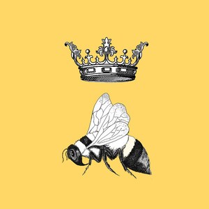 Pu&ograve; includere: Illustrazione di un'ape a strisce nere e gialle, sotto una corona dettagliata, su sfondo giallo. Le ali dell'ape sono disegnate con cura e la corona &egrave; ornata.